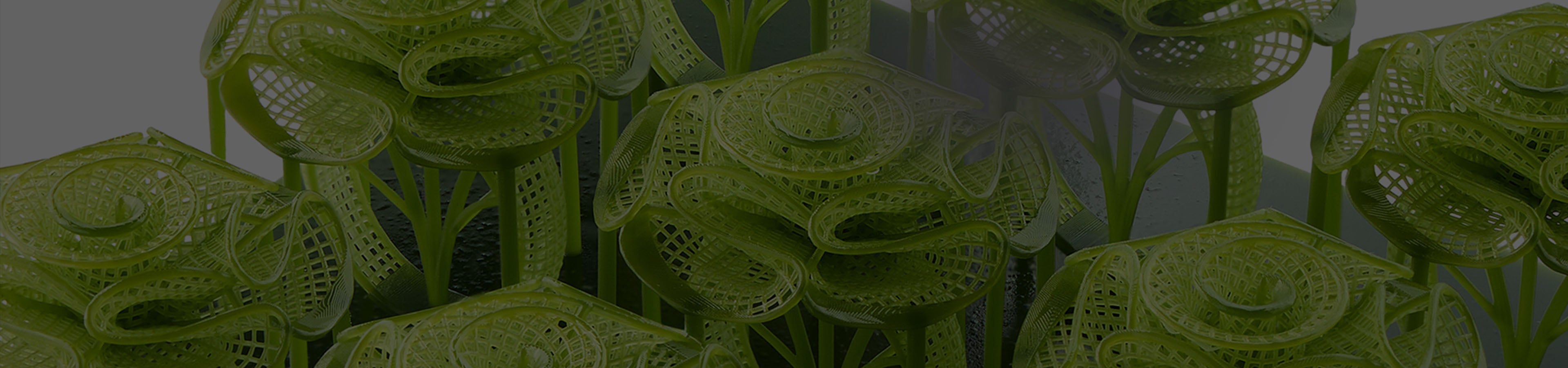 ANYCUBIC-BR