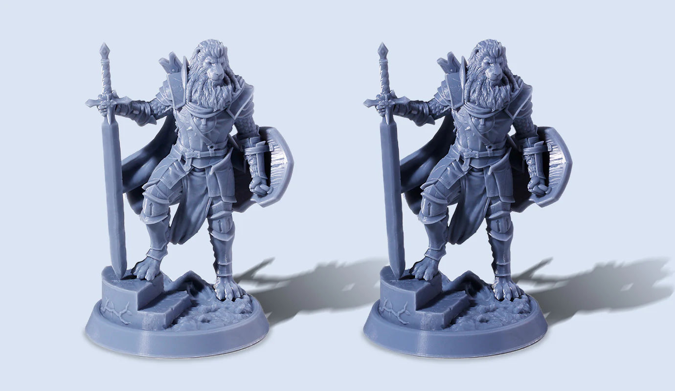 ANYCUBIC-BR